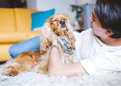 Java J.C. Hart Axis 的图像结果