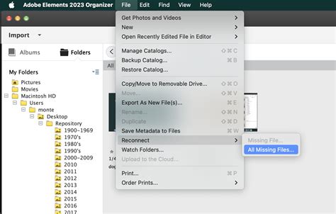 Image result for Adobe Organiser Elements 2021 Tutorial