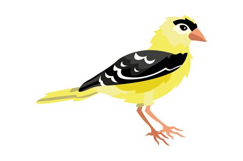 Washington State Bird - American Goldfinch SVG Cut file by Creative ...