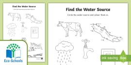 FREE! - Eco-Schools NI: Uses Of Water (teacher made)