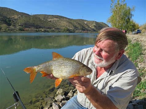 Travelling Man: Spanish roach fishing Nov 2015.