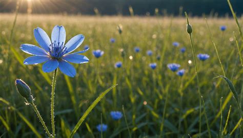 Image result for Explain Group and Groups in Python Re