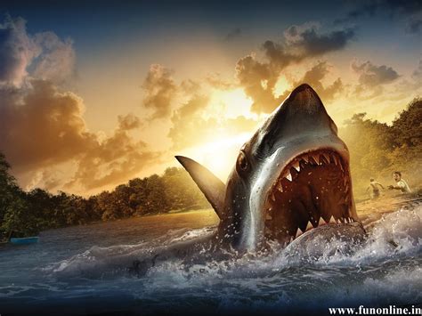 🔥 Free Download Moving Shark Wallpaper On by @josephhenderson | WallpaperSafari