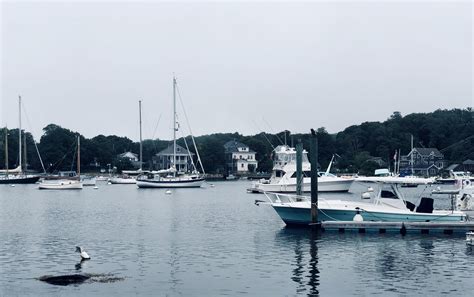 Woods Hole Ma Events at Luis Silva blog