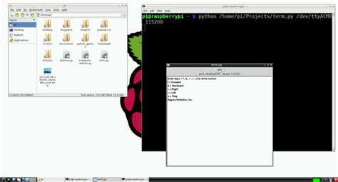 Raspberry Pi Python Examples 的图像结果