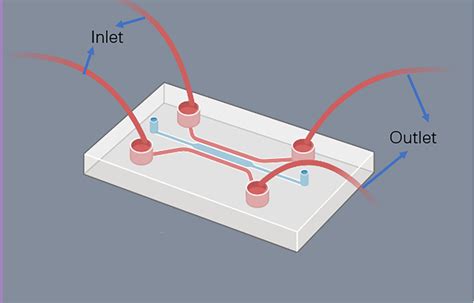 Microfluidic Chip 的图像结果