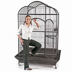 gabbie x pappagalli voliera gabbia recinto parrot cage pappagalli uccelli h gabbie x pappagalli voliera gabbia recinto parrot cage pappagalli uccelli h