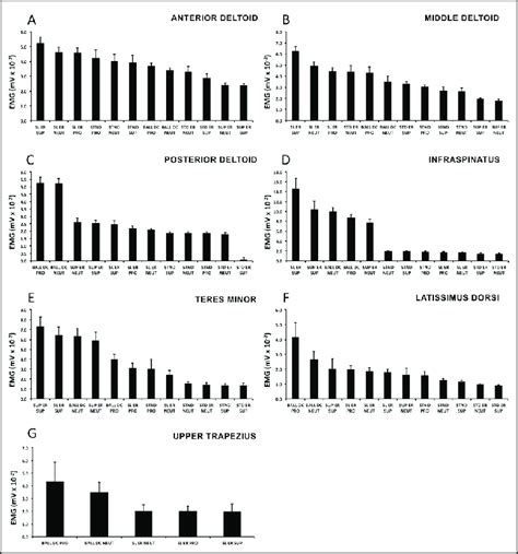 Image result for Muscle Activity EMG