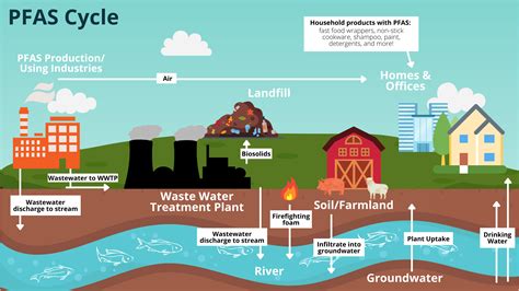 PFAS Chemicals: Whats the Deal And Why You Should Care