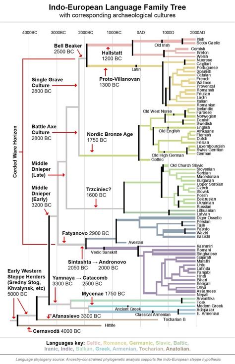 Language Family Tree 的图像结果