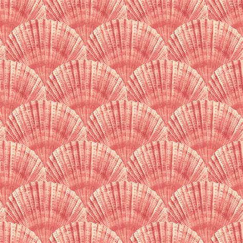 Image result for Scallop Shell Pattern