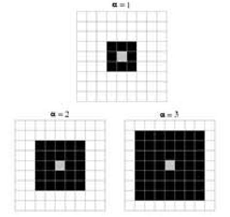 Image result for Moore Neighborhood Python