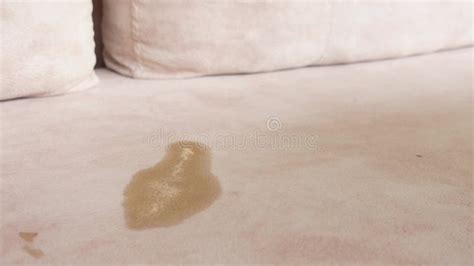 Image result for HowToBasic Stain Sofa