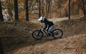 Wallpaper bike, cyclist, forest, trees hd, picture, image