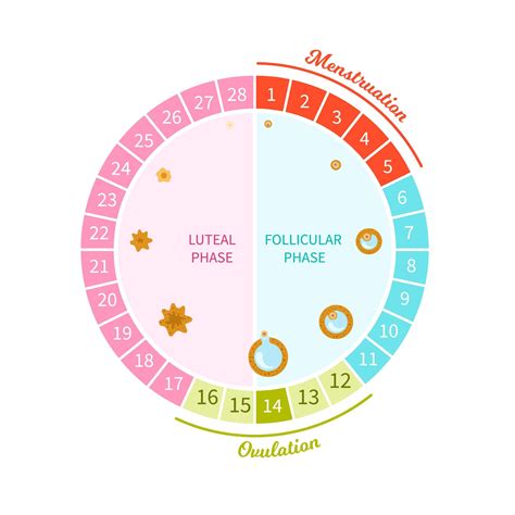 Do COVID-19 vaccinations increase the length of the menstrual cycle?