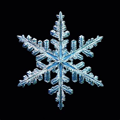 Snowflake Data-Modeling 的图像结果