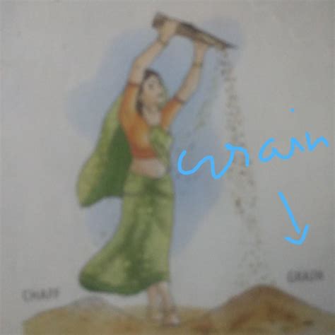 1. What is winnowing Page winnowing ? Give two example ? I need the ...