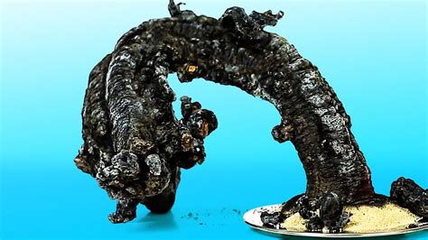 Amazing Science 的图像结果