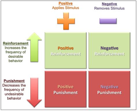 Positive Punishment Examples
