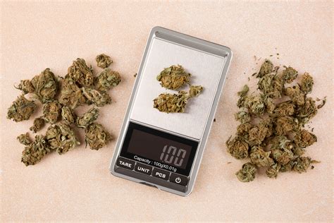 How Much Is a Quarter, Pound, Ounce, or Eighth of Weed? - Mr. Nice Seedbank