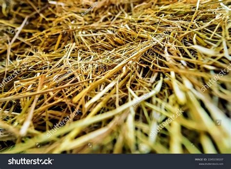 29,775 Color Bale Images, Stock Photos & Vectors | Shutterstock