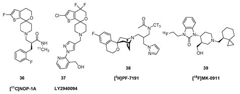 A Survey of Molecular Imaging of Opioid Receptors