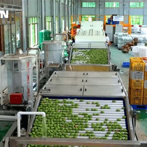 Mango | Reemoon India- Fruit Sorting and Grading Machine, sorter ...