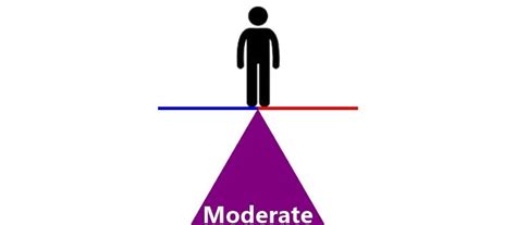 Moderate Politicians 的图像结果