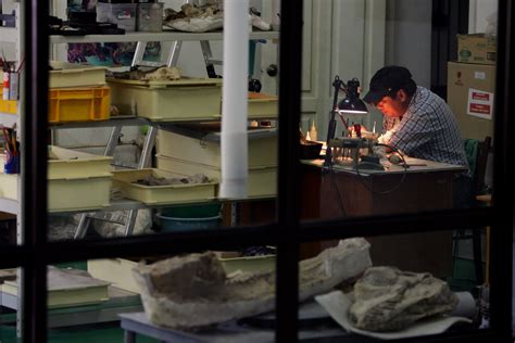 Paleontologists 的图像结果