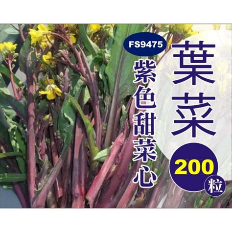 Image result for Complex Form HTML Images
