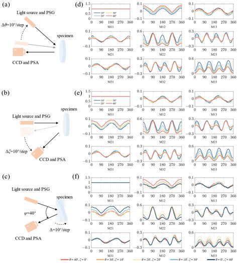 Complex Spatial Illumination Scheme Optimization of Backscattering ...