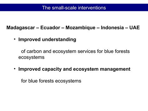 Blue Carbon+: Efforts to harness coastal and marine ecosystem values for improved ecosystem ...