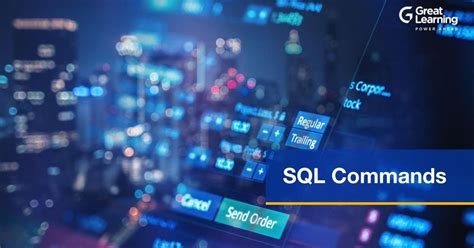 SQL DDL DML DCL TCL 的图像结果