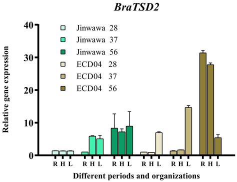 Cloning and Functional Analysis of BraTSD2 Associated with Root ...