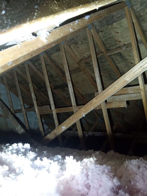 The Cost of Attic Mold Removal in Toronto - CPR24 Restoration