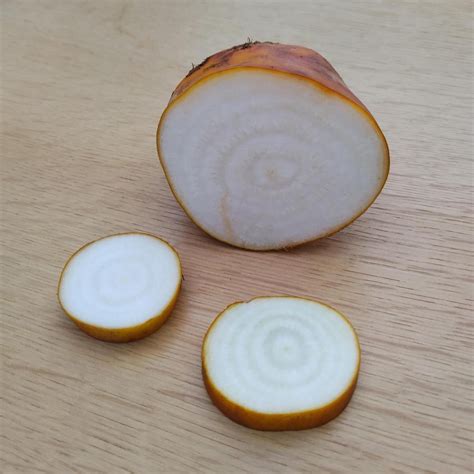 Fodder Beet 'Brigadier' (Beta vulgaris) seeds