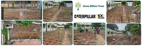 Caterpillar's Legacy: A Learning forest in Chennai Anna Salai – Grow ...