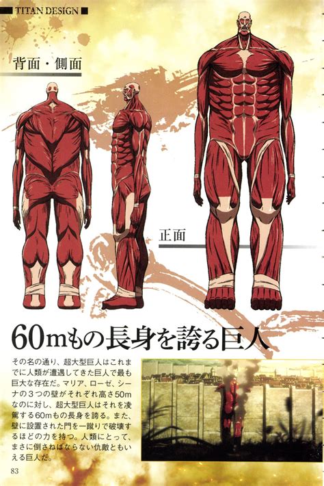 Colossal Titan - Attack on Titan - Image #3295118 - Zerochan Anime ...