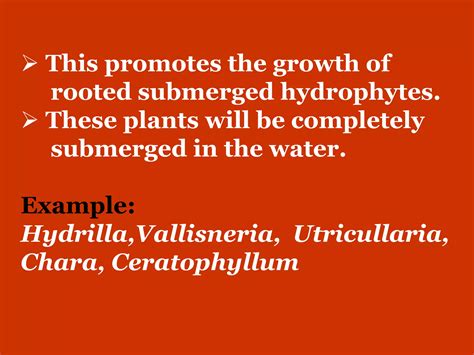 Hydrosere (Hydrarch Succession) | PPTX