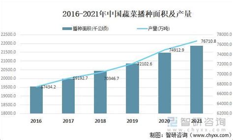 蔬菜种植市场分析报告_2021-2027年中国蔬菜种植市场深度研究与投资前景评估报告_中国产业研究报告网