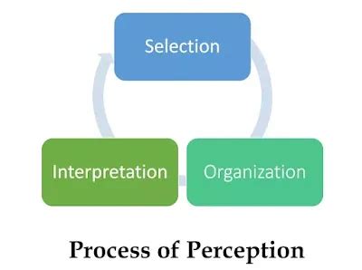 Perception Process Steps Image 的图像结果
