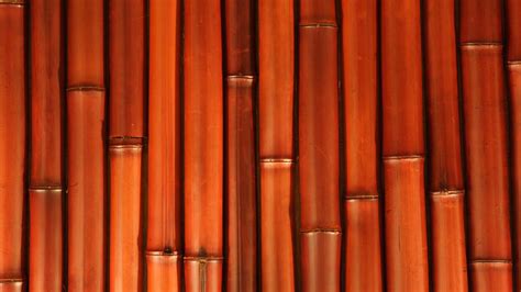 Wallpaper bamboo, stems, plant, texture, brown hd, picture, image