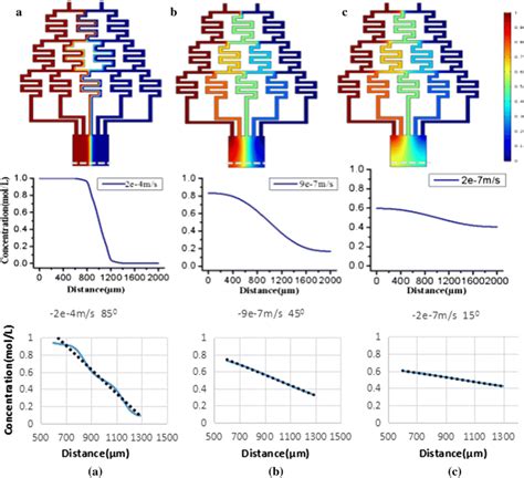 Image result for Concentration Gradient Illustration