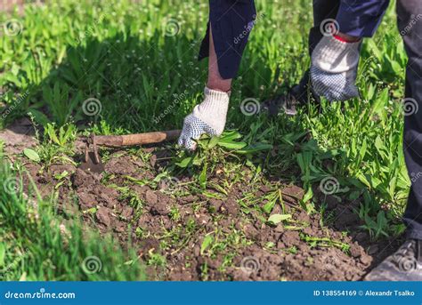 Image result for Uprooting Using Hands