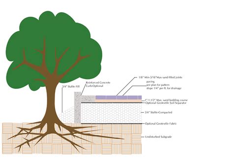 Image result for Tree Root Bridge