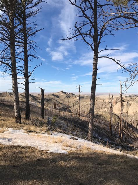 CHADRON STATE PARK - Campground Reviews (NE)