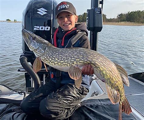 Image result for CWC Teams