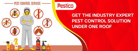 Pest Control Services in Kolkata, Delhi, Bangalore | PESTICO