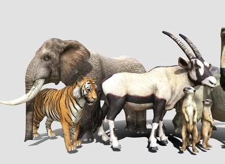 Image result for Second Life Scripting Animals