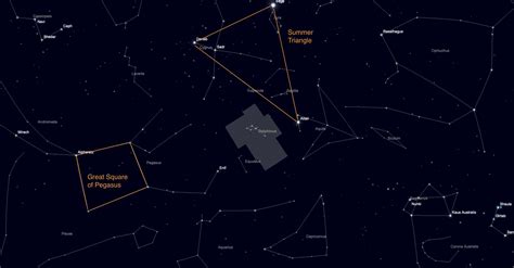 Delphinus Constellation Guide - A Dolphin of Stars • Love the Night Sky
